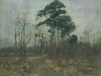 Park táj: Erdő tavasszal